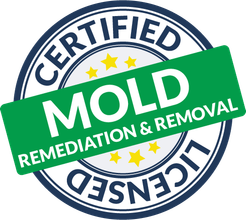 Certified & licensed for mold remediation and removal