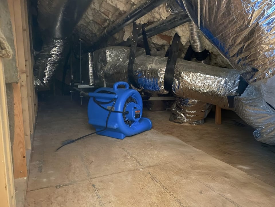 technician inspecting active roof leak in attic, water dripping through damaged sheathing onto wet insulation